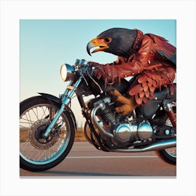 Falcon Rider Canvas Print
