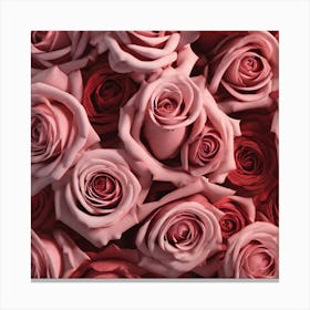 Pink Roses 14 Canvas Print