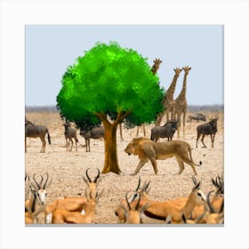 Lions And Antelopes Canvas Print