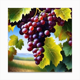 Grapes On The Vine 18 Canvas Print