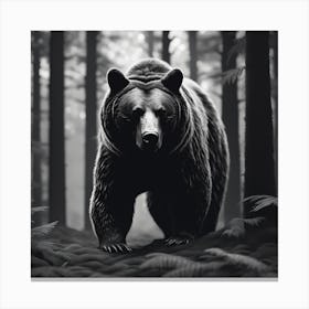 Black Bear In The Forest 3 Canvas Print