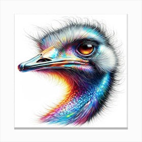 Ostrich Head Color Drawing - Wild Bird Artwork 119 Canvas Print