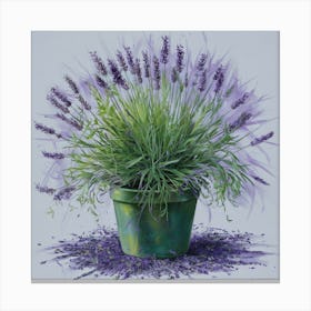 Lavender In A Pot Canvas Print