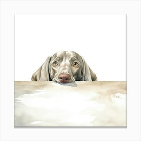 Weimaraner Dog 3 Canvas Print