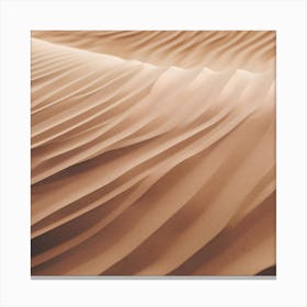 Sand Dunes In The Desert 3 Canvas Print