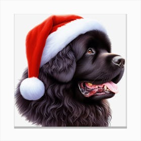 Newfoundland Dog Leinwandbild