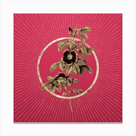 Gold Single May Rose Glitter Ring Botanical Art on Viva Magenta n.0068 Canvas Print