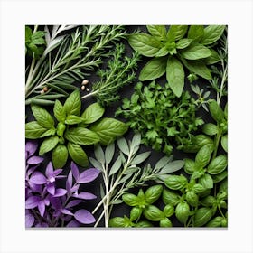 Fresh Herbs On A Black Background Canvas Print