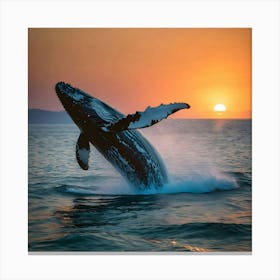 Humpback Whale Breaching At Sunset 18 Canvas Print