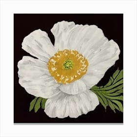 White Poppy Canvas Print