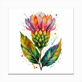 Watercolor Protea Flower Canvas Print