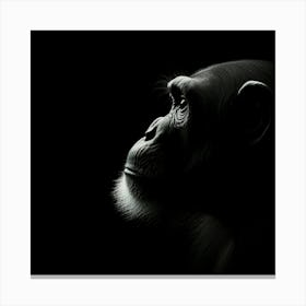 Portrait Of A Chimpanzee 1 Canvas Print