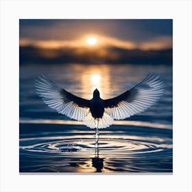 Dove At Sunset 1 Canvas Print