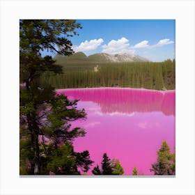 Beautiful Pink Lake Canvas Print