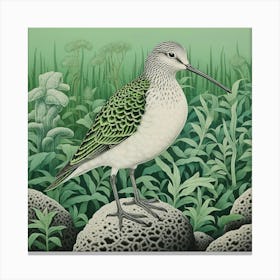 Ohara Koson Inspired Bird Painting Dunlin 1 Square Canvas Print