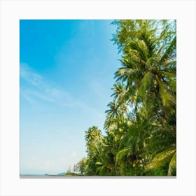 Beach In Thailand Canvas Print