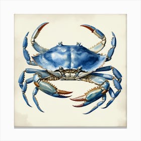 Blue Crab art print Canvas Print