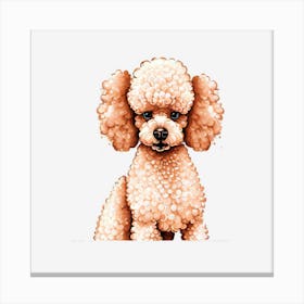 Poodle Canvas Print