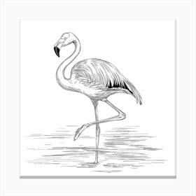 Flamingo 1 Canvas Print