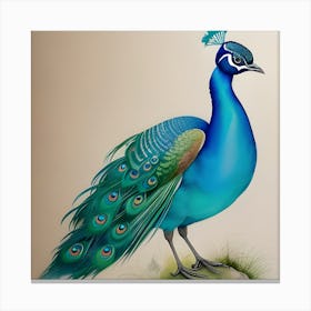 Peacock Painting Canvas Print