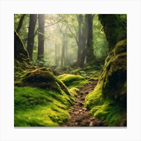 Mossy Forest 1 Canvas Print