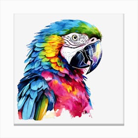 Colorful Parrot 17 Canvas Print