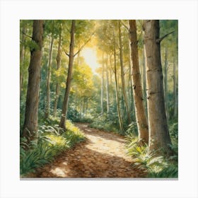 Path In The Woods Canvas Print