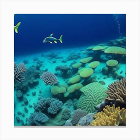 Great Barrier Reef 5 Canvas Print