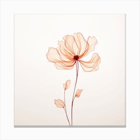 Poppy 3 Canvas Print