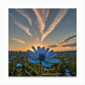 Blue Flower At Sunset Canvas Print