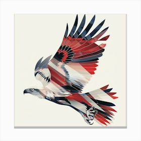 Eagle 27 Canvas Print