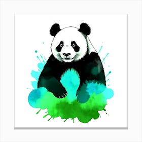 Panda Bear 1 Canvas Print