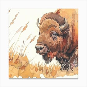 Bison Canvas Print