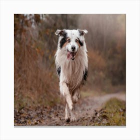 Dog Running In The Woods Canvas Print