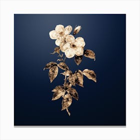 Gold Botanical Tea Scented Roses Bloom on Midnight Navy n.2979 Canvas Print