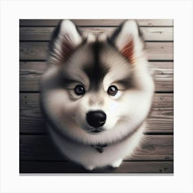 Husky Dog Canvas Print