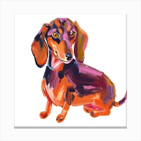 Dachshund 01 Canvas Print