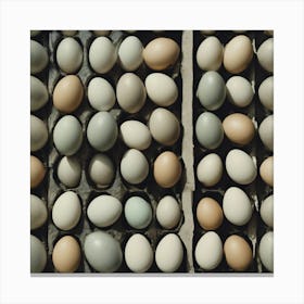 Eggs In A Carton 1 Canvas Print