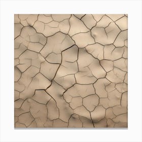 Cracked Sand 3 Canvas Print