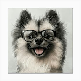 Pomeranian 9 Canvas Print