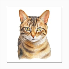 Chinese Li Hua Cat Portrait 2 Canvas Print