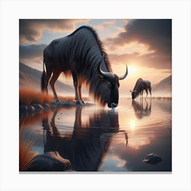 Wildebeest Canvas Print