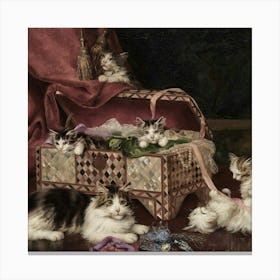 Kittens In A Chest Canvas Print