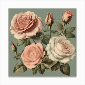 Pink Roses 3 Canvas Print