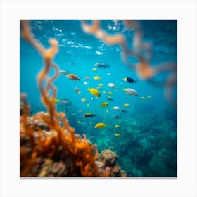 Underwater Coral Reef 1 Canvas Print