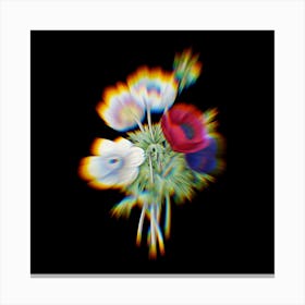 Prism Shift Anemone Simplex Botanical Illustration on Black n.0160 Canvas Print