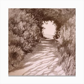 Walking towards Hope - Every step is leading you to the most amazing resolution (Pencil drawing) Canvas Print