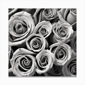 Black And White Roses 22 Canvas Print