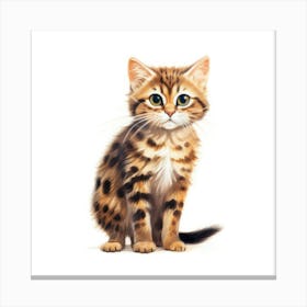 Bengal Kitten Canvas Print