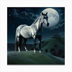 Horse In The Moonlight 25 Canvas Print